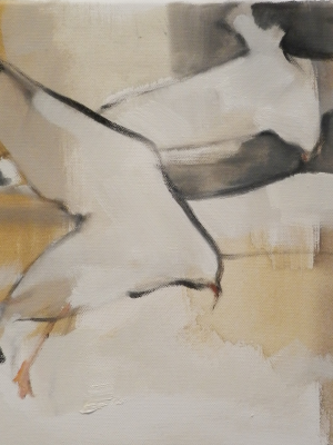 Mouette6 huile sur toile